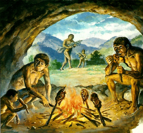 Habitatge del paleolític
